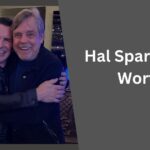 Hal Sparks Net Worth